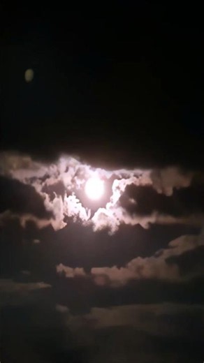 MOONLIGHT DELIGHT | Claire de Lune #shorts #music #soothingsounds