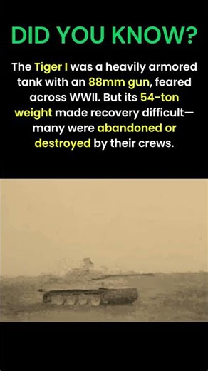 Why Tiger tanks were hard to move #WWII #History #Facts