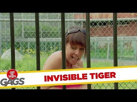 Scary Invisible Tiger Prank