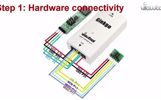 纬图 Ginkgo USB-SPI/I2C适配器 使用Extend软件 读写控制 视频教程（Windows系统）