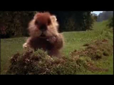 Caddyshack Gopher