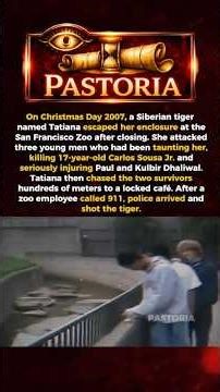 Zoo Horror: Tiger Kills Teen After Taunts#history #shorts