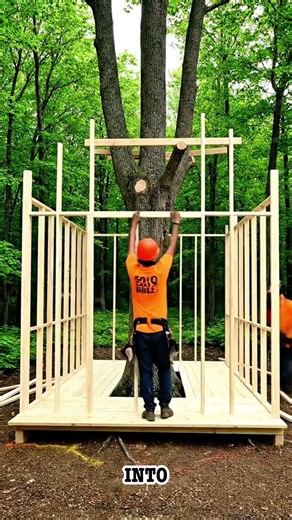 The Most Satisfying Treehouse Build You'll See Today #timelapse #woodworking