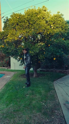 Vic Mensa on Instagram: "why would ice kill a white woman? rest in peace renee good sick shit #fyp #explore #usa #minneapolis #ice"