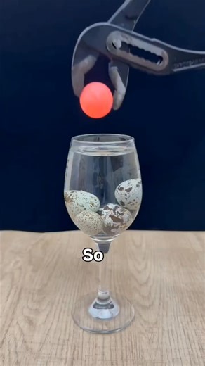 Pranked! Turning a Thief into a Plastic Mummy