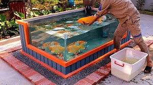 How to create a beautiful outdoor aquarium