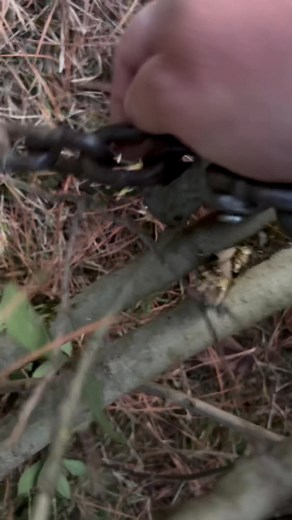 13 reactions | Putting that LS swap to work  | Wayne Williams | Facebook