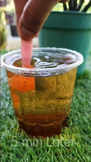 Learn How to Use Unused Tea fertilizer to Boost Plant growth