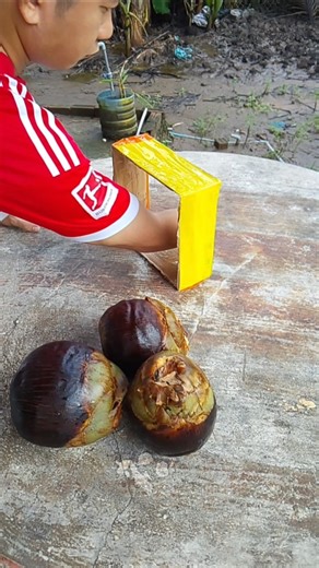 thử thách ăn trái thốt nốt vui nhộn | eat fresh fruit funny #fruit #shorts