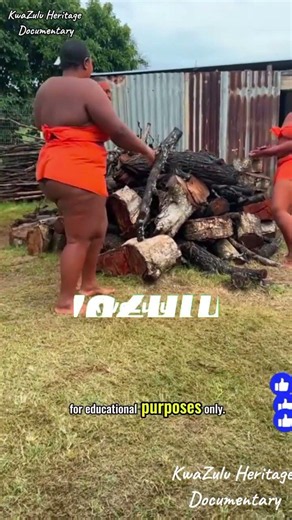 Zulu Maidens Reed Dance Festival Preparation 🇿🇦 Umkhosi woMhlanga, Firewood Gathering & Strength