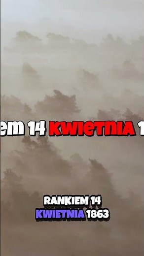 Tajemniczy Odwrót Dramatyczne Chwile w Puszczy Kampinoskiej 🌲