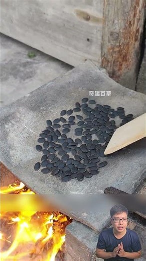 Hạt mướp rang #dưỡnglinh #food #dưỡngsinh