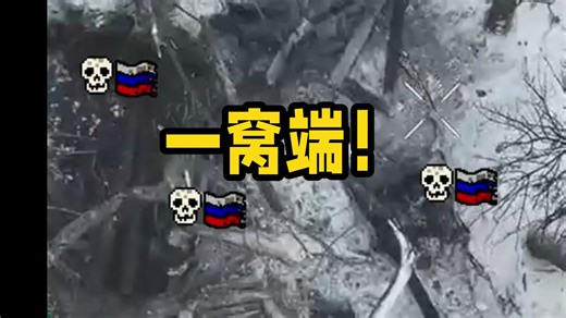 俄罗斯士兵化作肥料！他们的洞穴则被火药夷为平地！(来自SSO最新发布)