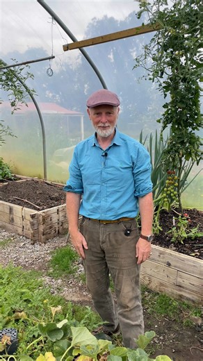 15K views · 238 reactions | Melons in Ireland? You bet!  Watch us...