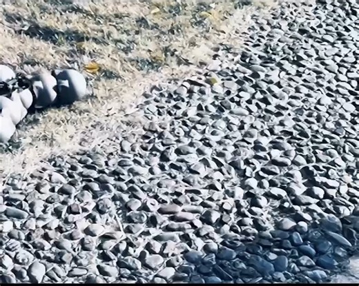 CTO ROBOTICS Media on Instagram: "🐌 Meet the “Robo-Snails” Engineered by The Chinese University of Hong Kong , these snail-inspired robots link together with magnets and suction cups forming shapes, crossing obstacles, and even assembling into robotic arms. From disaster response to exploration, they’re slow, smart, and built for the toughest terrains. Join our global community, share your expertise, and explore partnership opportunities. 👉 www.ctorobotics.com Stay updated with the latest insi