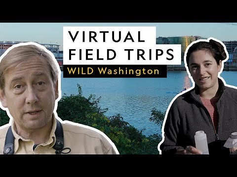 Virtual Field Trip | WILD Washington