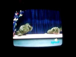 3 LITTLE SPECKLED FROGS