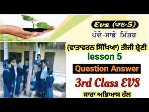 3rd class evs | lesson 5 | ਪੌਦੇ-ਸਾਡੇ ਮਿੱਤਰ | question answer| class 3rd evs | chapter 5 | PSEB