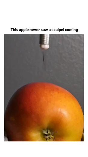 Rare Folio on Instagram: "The post features a 22-second video demonstrating a precise circular cut around an apple's stem using an X-Acto knife mounted on a rod, causing juice to squirt out in a controlled manner, captioned with a pun on the fruit's surprise. Posted on 29 January 2026 by @Erenygr21 , it quotes a brief "Very interesting" remark and has garnered over 2.4 million views, 800 likes, and 223 replies, mostly in Indonesian expressing admiration for the sharpness and technique. The demon