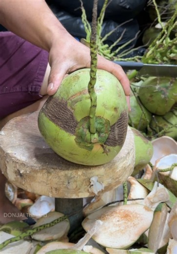 Amazing!!! Incredibly fast coconut peeling skills. | Coconut