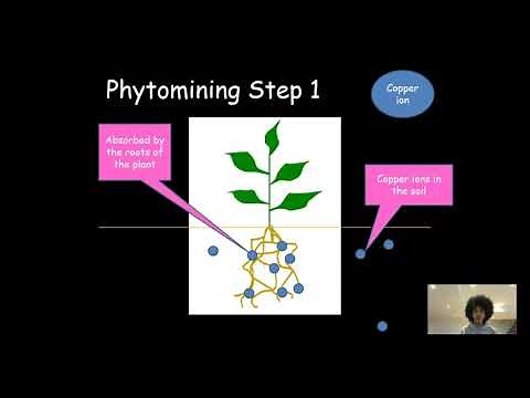 Phytomining and Bioleaching - AQA GCSE Chemistry 4.10.1.4