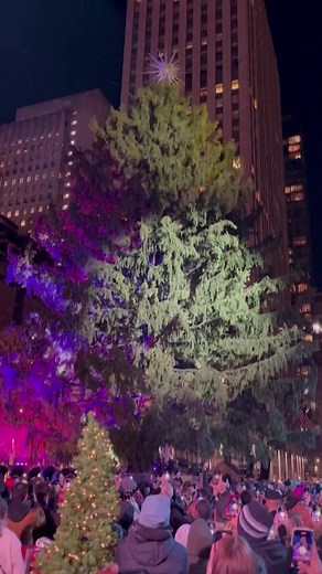 451K views · 9.6K reactions |  Inicia la Navidad: encienden el icónico árbol del Rockefeller Center de Nueva York. | Univision Noticias | Facebook