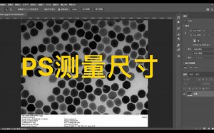 每天一个小技巧_PS测量颗粒尺寸/SEM/TEM/AFM