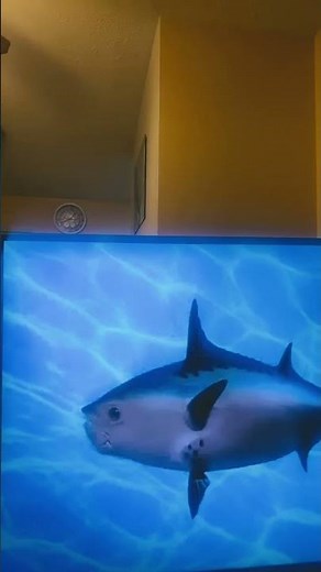 SpongeBob intro fandub French from Switzerland