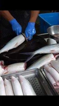 Most Satisfying Milkfish Cutting Skills in Taiwan!