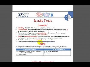 lec2 ( Excitable Tissues )