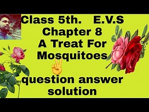 Chapter 8 E.V.S. A treat for Mosquitoes.Question answer exercise