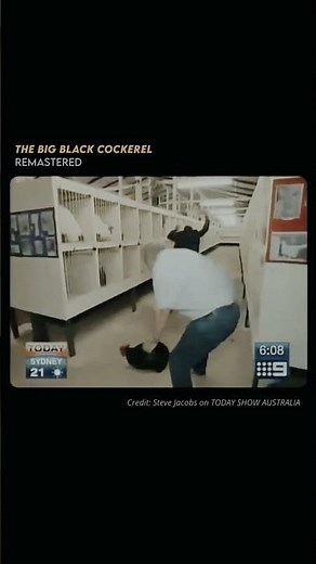 Big Black Cock makes the White Guy Scared