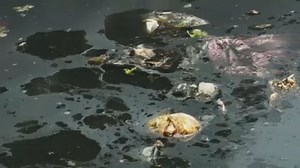 Целлофановые реки, пластмассовые берега