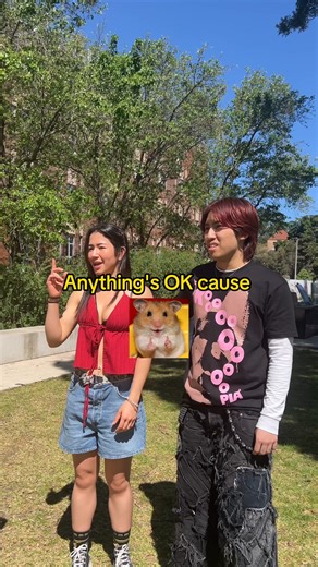 UNSW on Instagram: "Harvard catching strays 🤠"