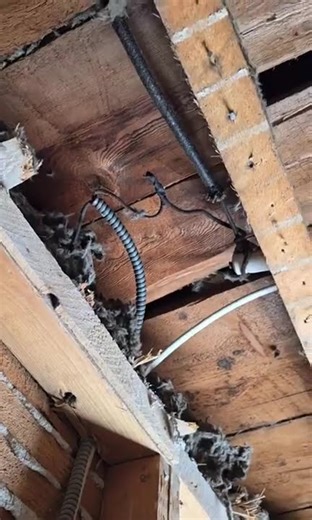 Knob and tube wiring mixed with romex, what's actually allowed #electrician #code #inspection