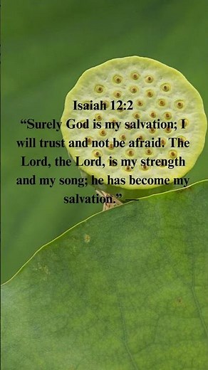 “Isaiah 12:2 Explained — Trusting God as Your Strength and Salvation”