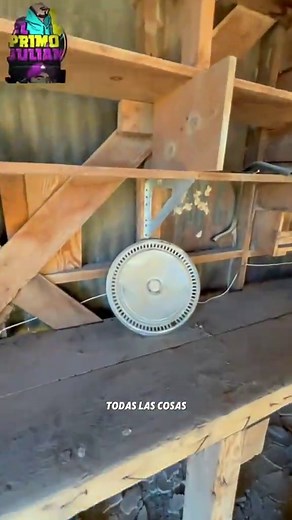 La Fascinante Historia de Bob 'El Alíen' y su Desaparición