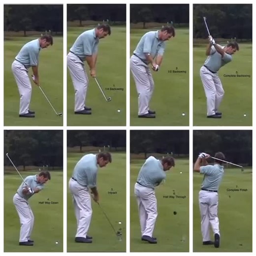 An End To Trial & Error Golf | A Model Golf Swing Obviously everyone swings a golf club somewhat differently. There is no one size fits all model but the swings of top... | Instagram