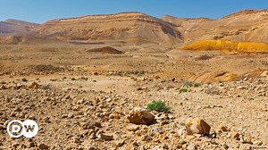 Agricultura en el desierto