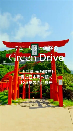 【山口 絶景ドライブ】日本海に連なる赤い鳥居と秘境ドライブ