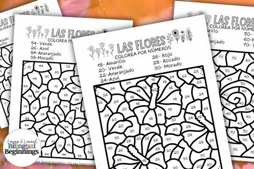 Flower Color by Number Coloring Pages in SPANISH - Etsy