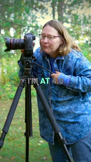 Autumn Tree Photography Pro Camera Settings Revealed!