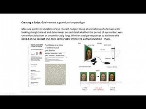 Psychtoolbox (MATLAB) Lesson 2 PromptAndDisplay