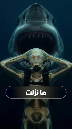 وش الحيوانات الي راح تصادفها كل ما نزلت في البحر#معلومات #fyp #حقائق
