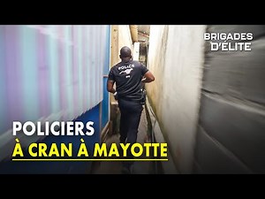 Dangerous interventions every day for the police in Mayotte | Elite brigades