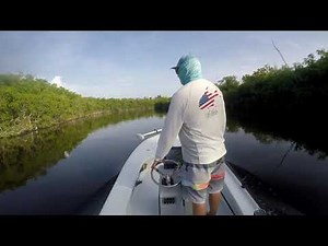 2020 Ankona Advent - Everglades National Park - Shark River run