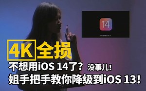 【4K全损】不想用iOS 14了？没事儿，姐手把手教你降级到iOS 13！