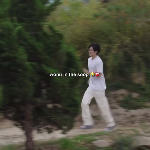 crying #wonwoo #wonu #seventeen #seventeen17_official #seventeen세븐틴 #inthesoopseventeen #svt #carat #fyp #shuasji