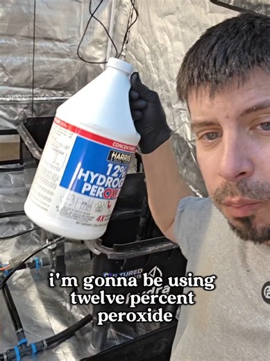 Reviving My RDWC System with Peroxide