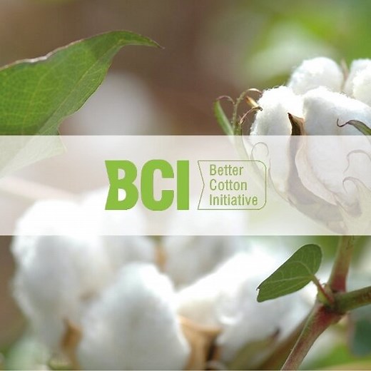 The Better Cotton Initiative’s 2020 Report  Says That Now 2.7 Million Cotton Farmers Grow Nearly A Quarter Of Global Cotton More Sustainably — TEXINTEL
